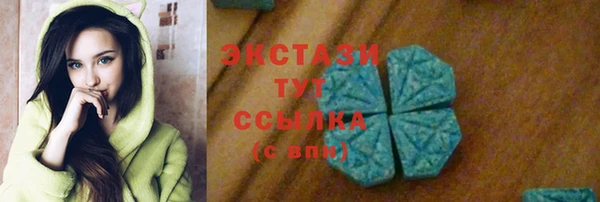 СК Богородск