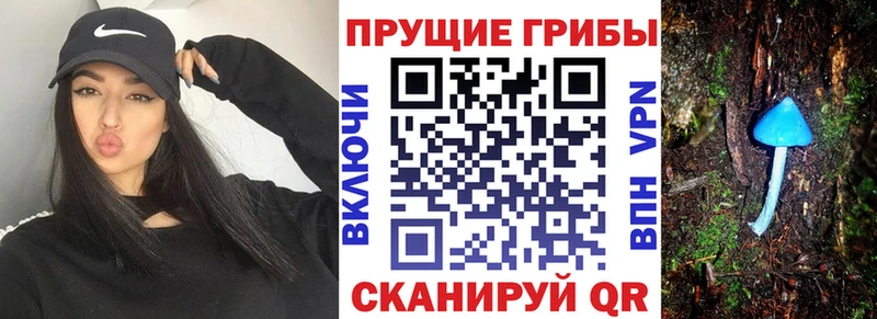 Псилоцибиновые грибы прущие грибы  Бугульма 